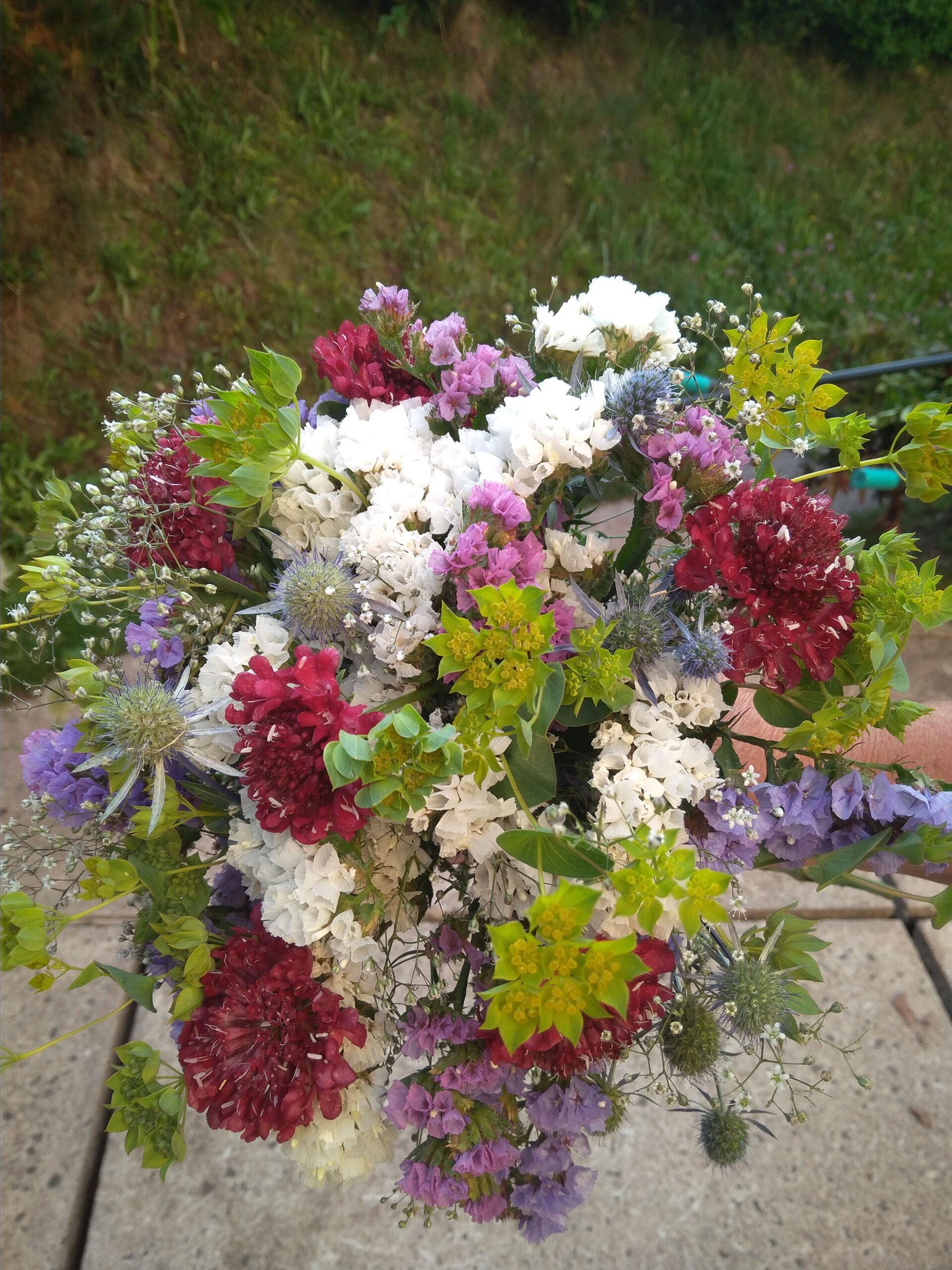 img 20240809 075655