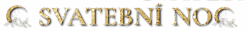 svatebninoc web 01